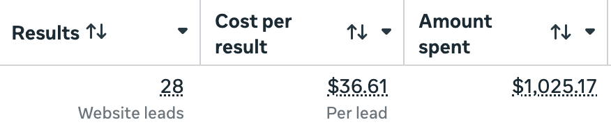 Meta Ads Manager: 28 website leads, $36.61 per lead, $1,025.17 spent.