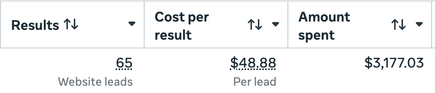 Meta Ads Manager: 65 website leads, $48.88 per lead, $3,177.03 spent.