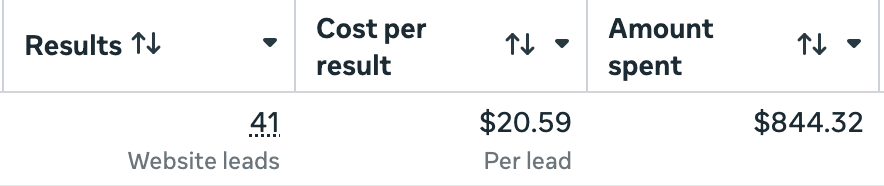 Meta Ads Manager: 41 website leads, $20.59 per lead, $844.32 spent.